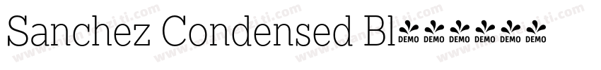 Sanchez Condensed Bl字体转换